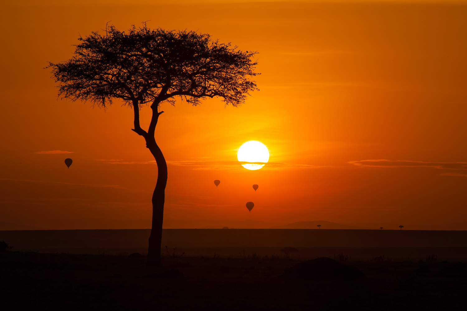 Maasai Mara
