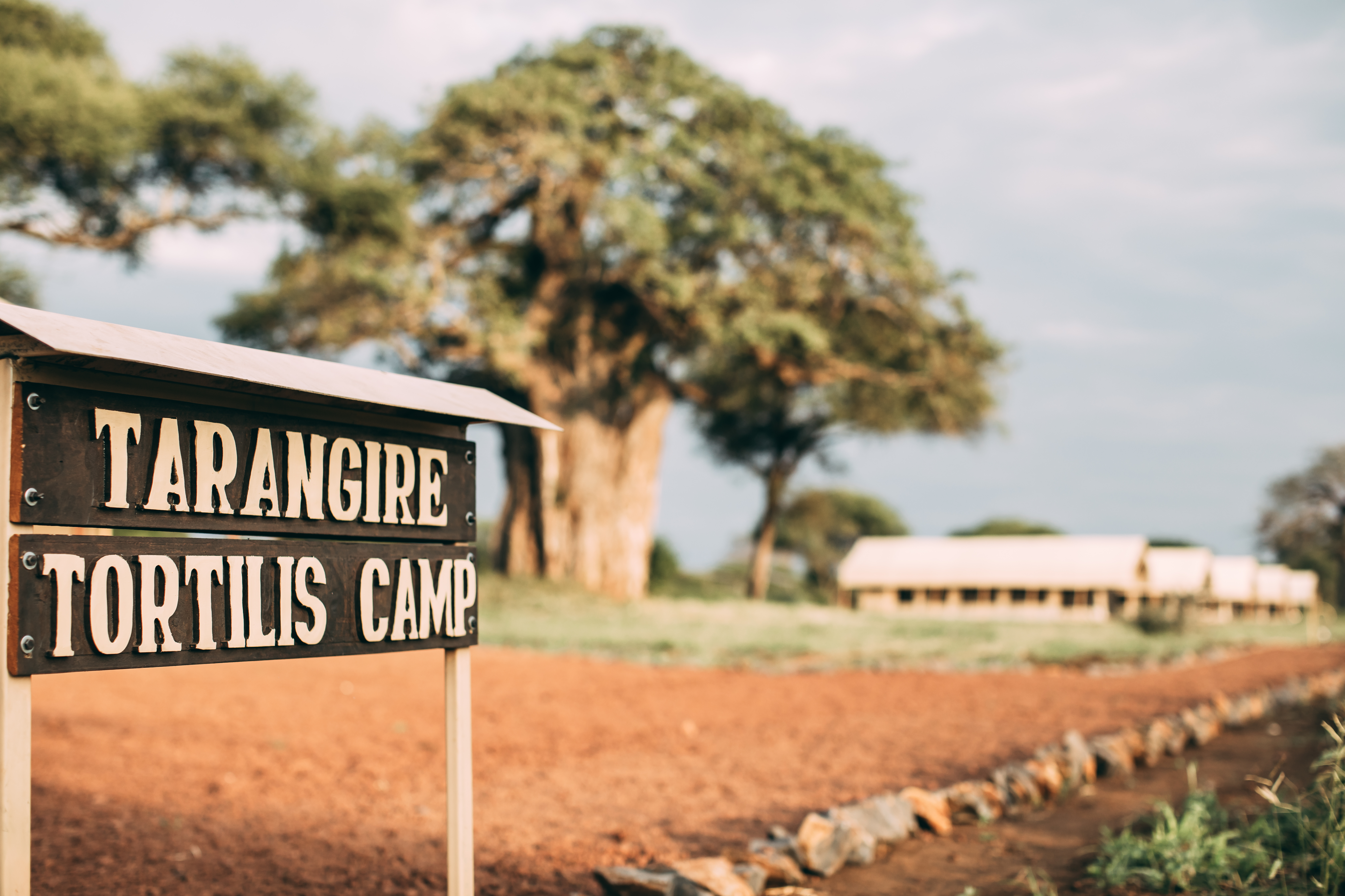 Tortilis Tarangire Camp