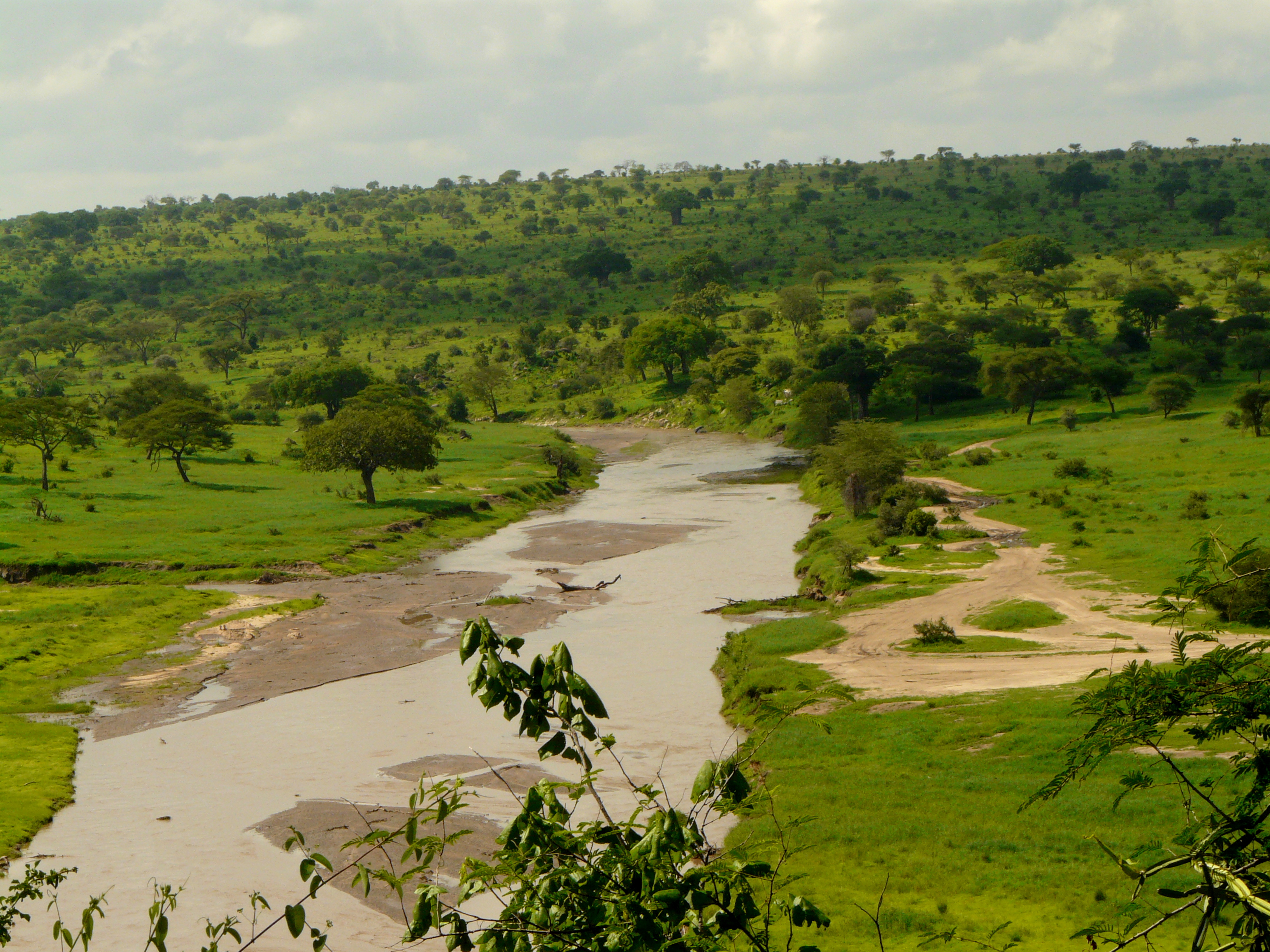 Tarangire National Park River