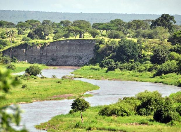 Tarangire National Park River