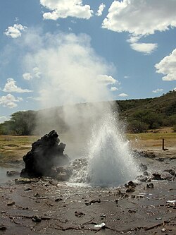 Lake Bogoria