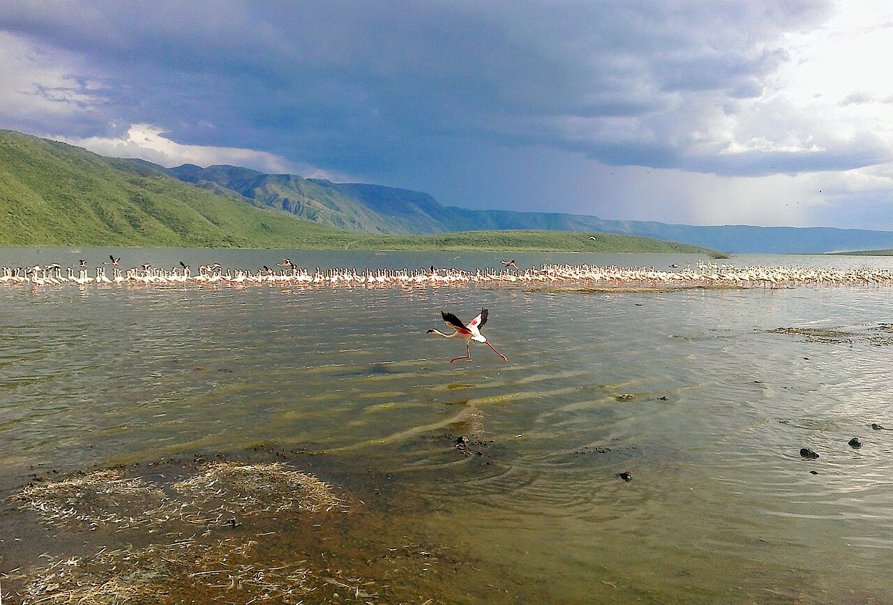 Lake Bogoria