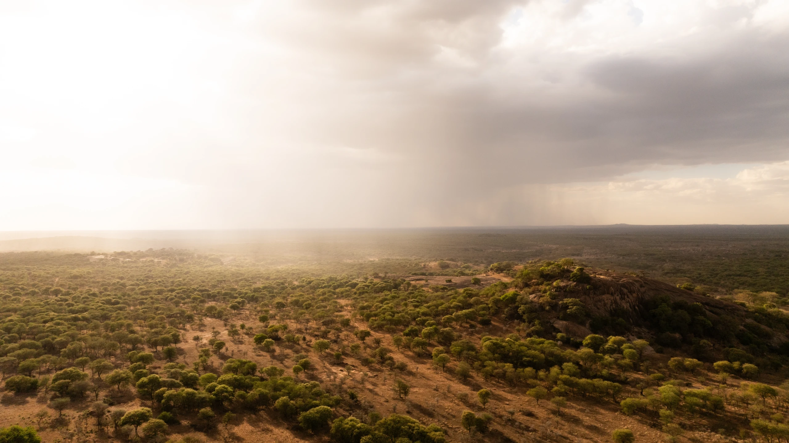 Charlie, Southwest Serengeti