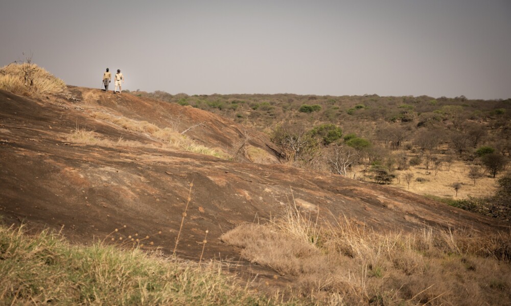 Charlie, Southwest Serengeti