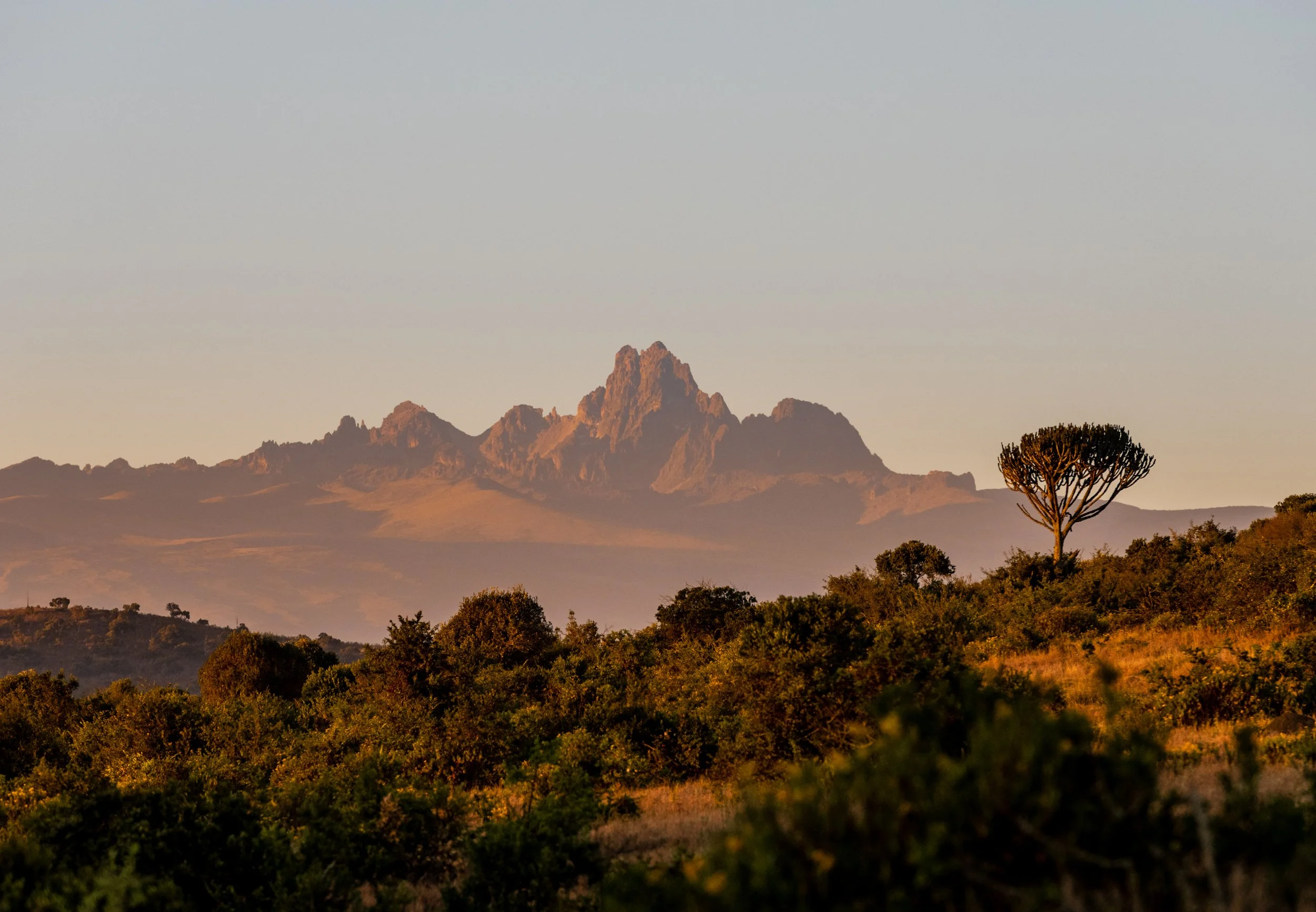 Borana National Park