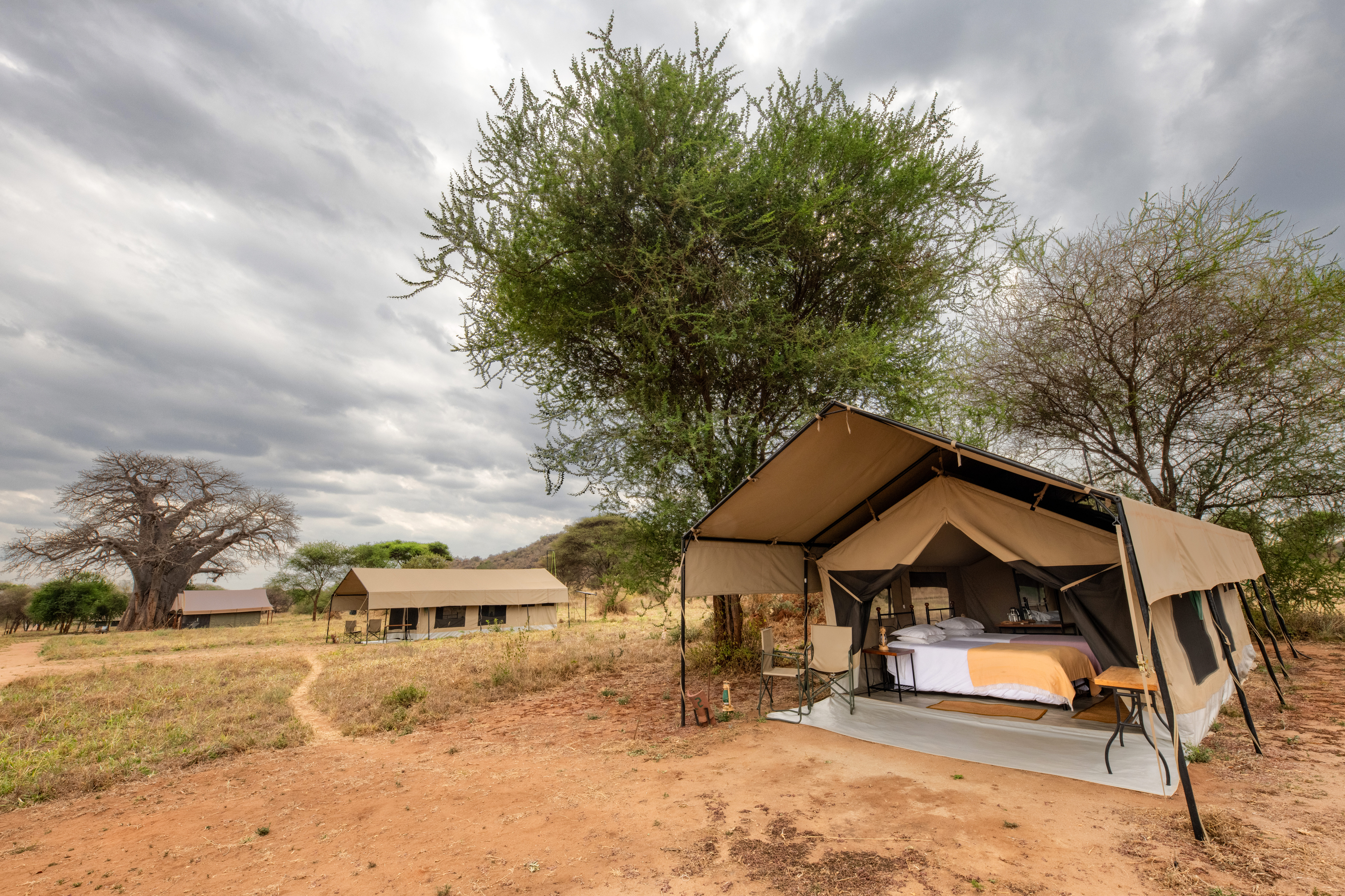 Tarangire Kati Kati National Park