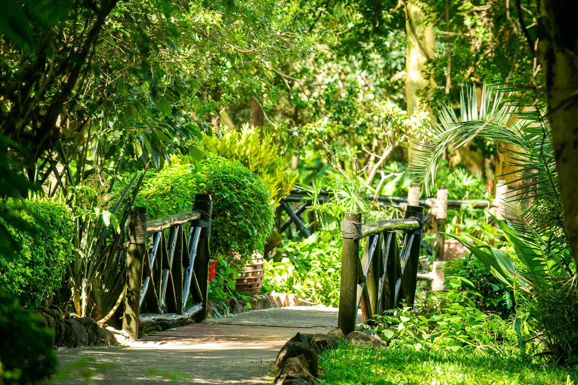 Lake Manyara Serena Safari Lodge