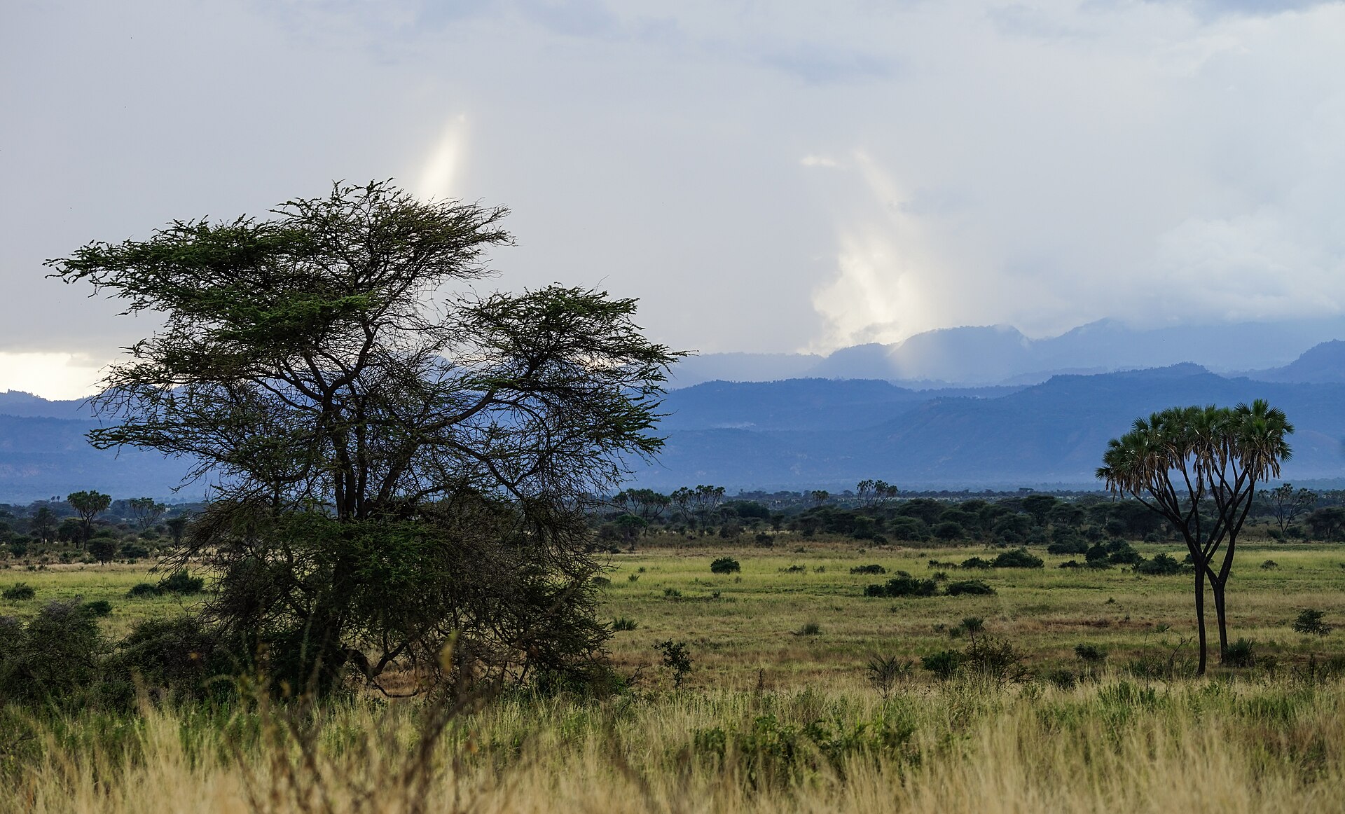 Meru National Park