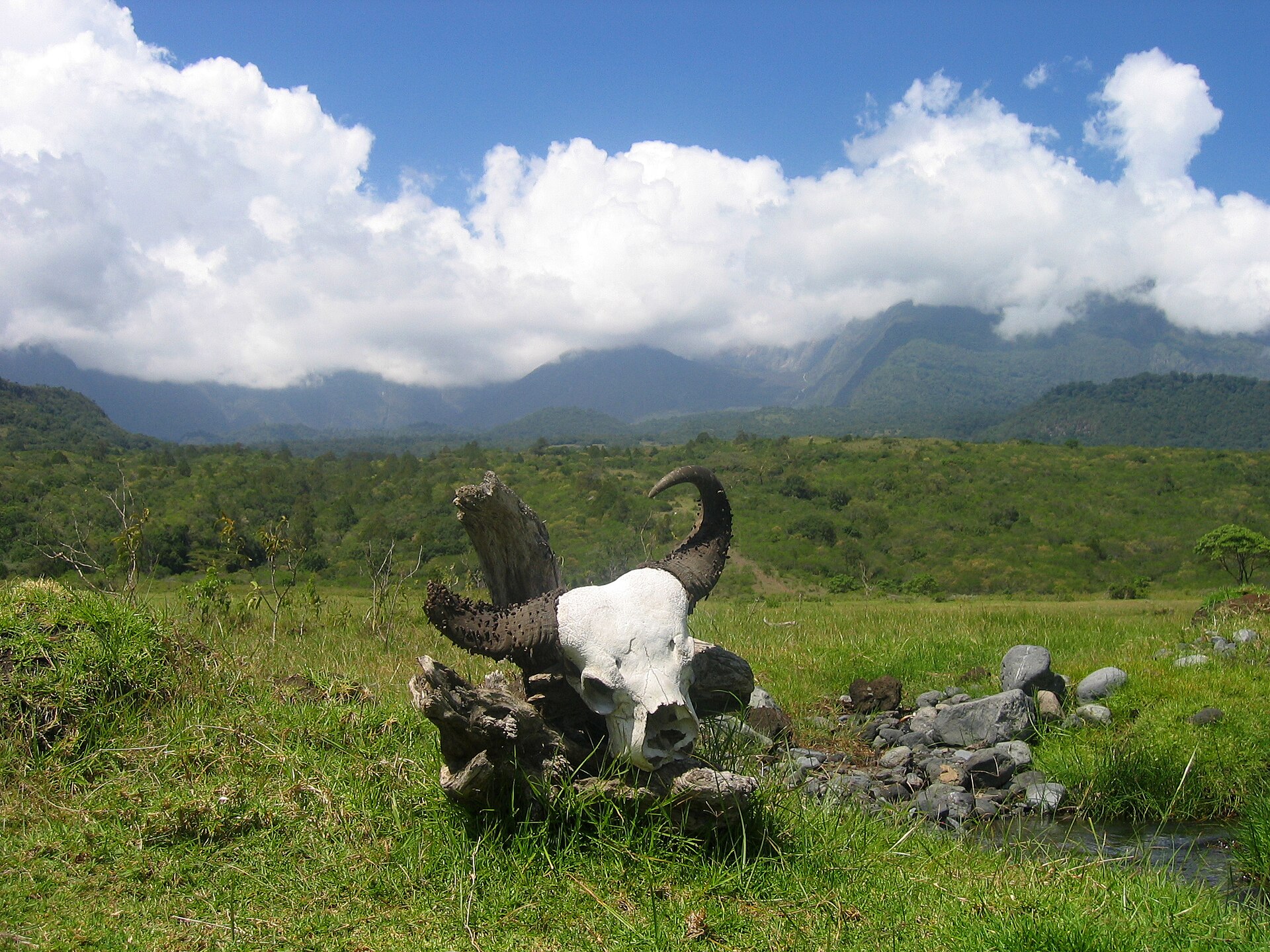 Meru National Park