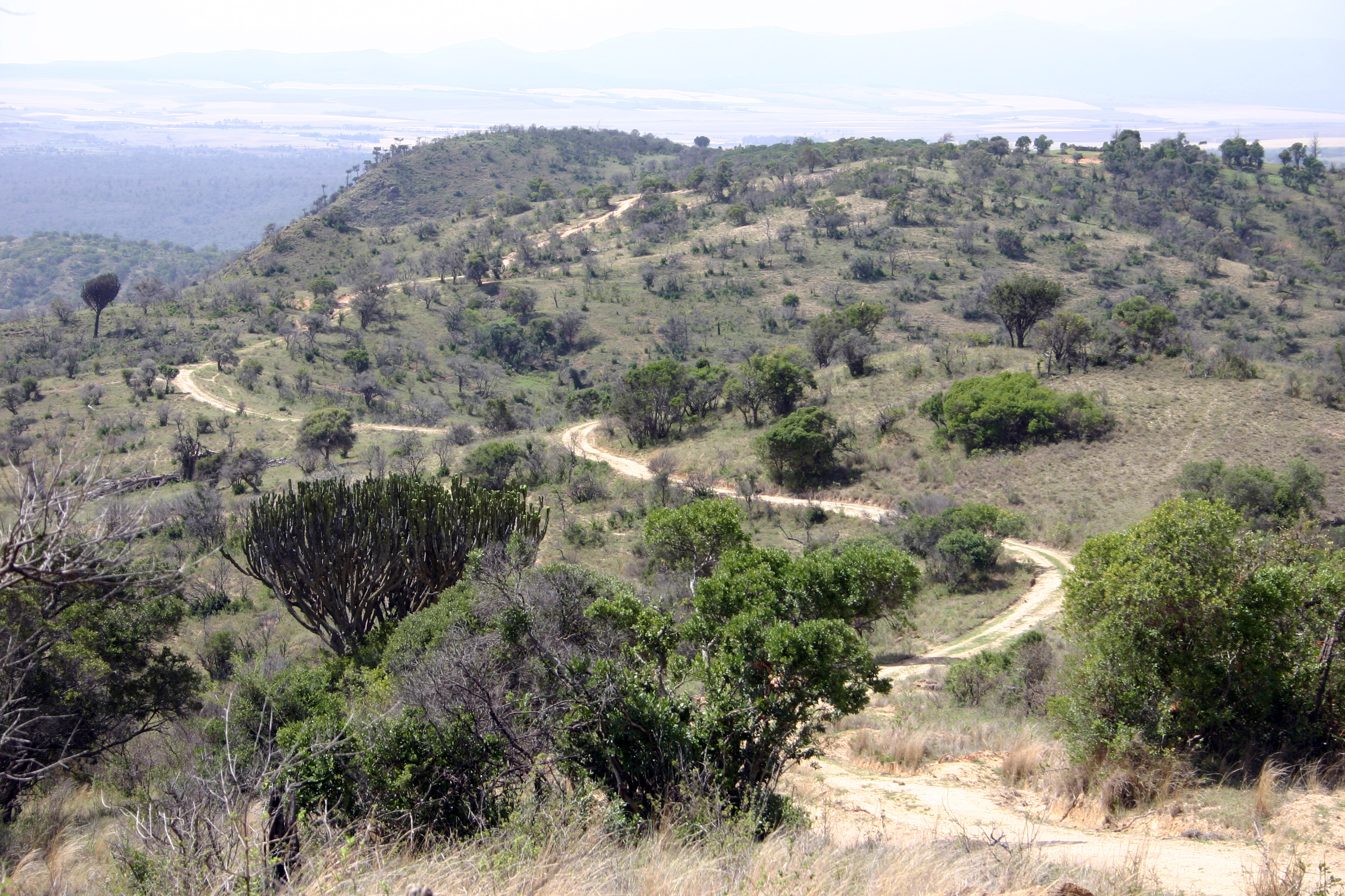 Lewa Wildlife Conservancy