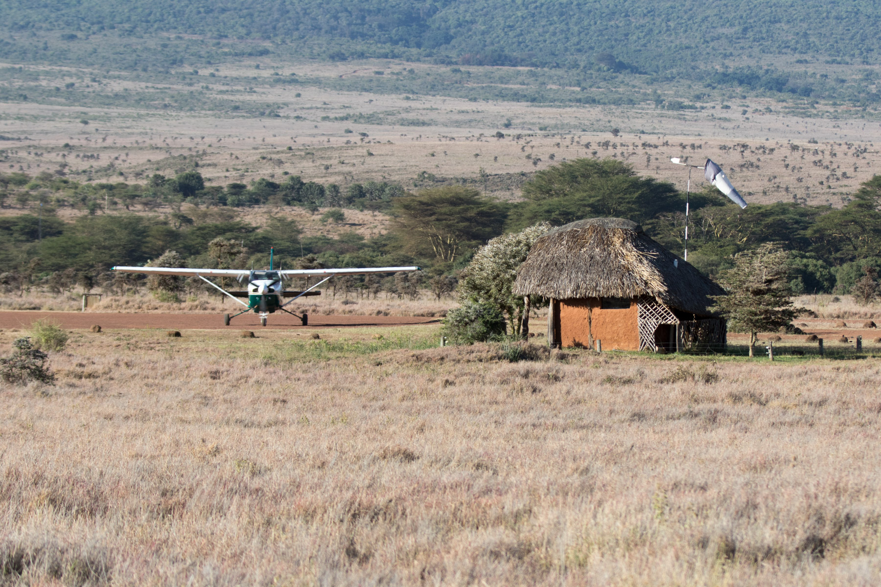Lewa Wildlife Conservancy