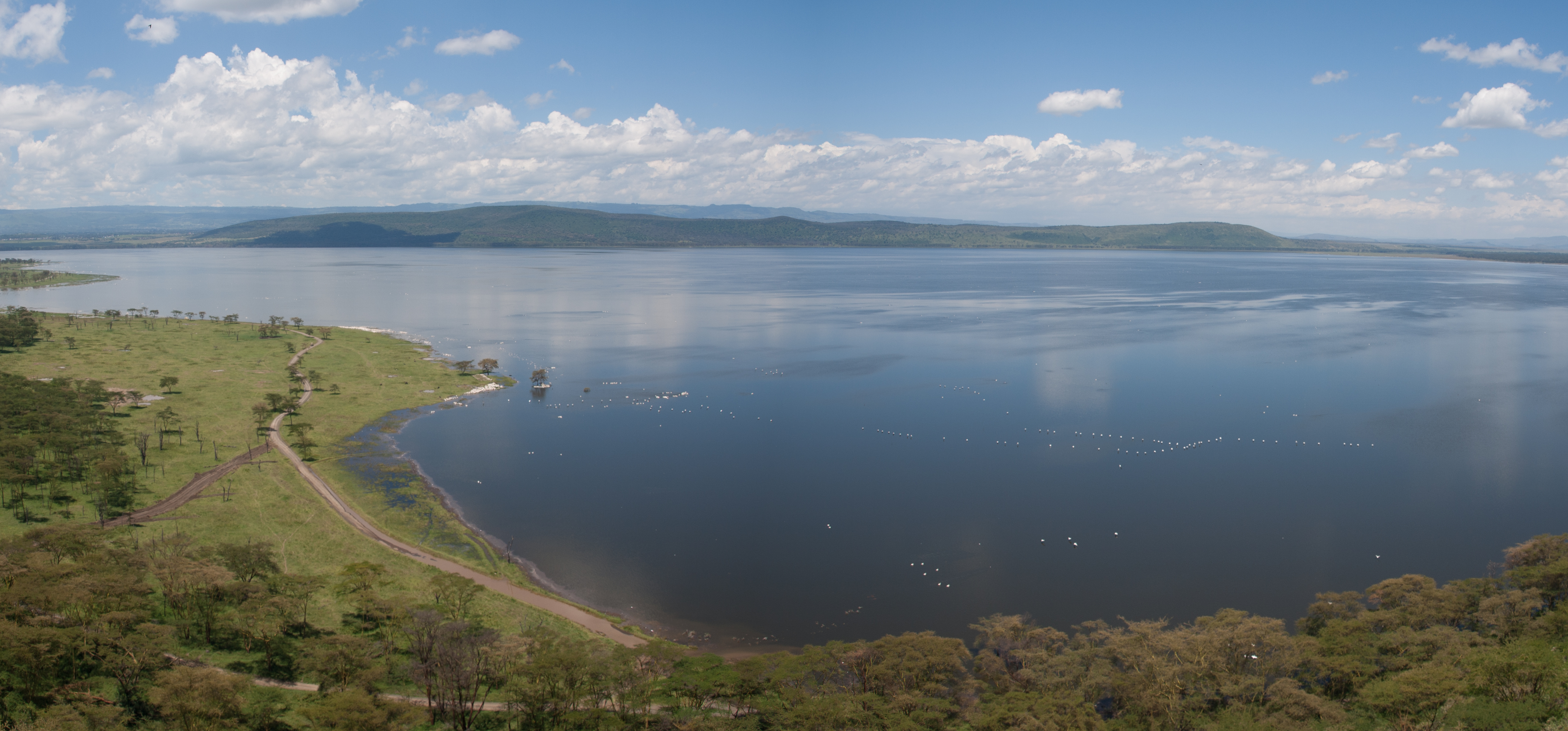 Naivasha Town