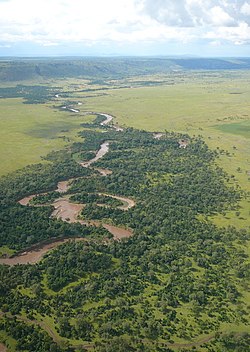 Mara River