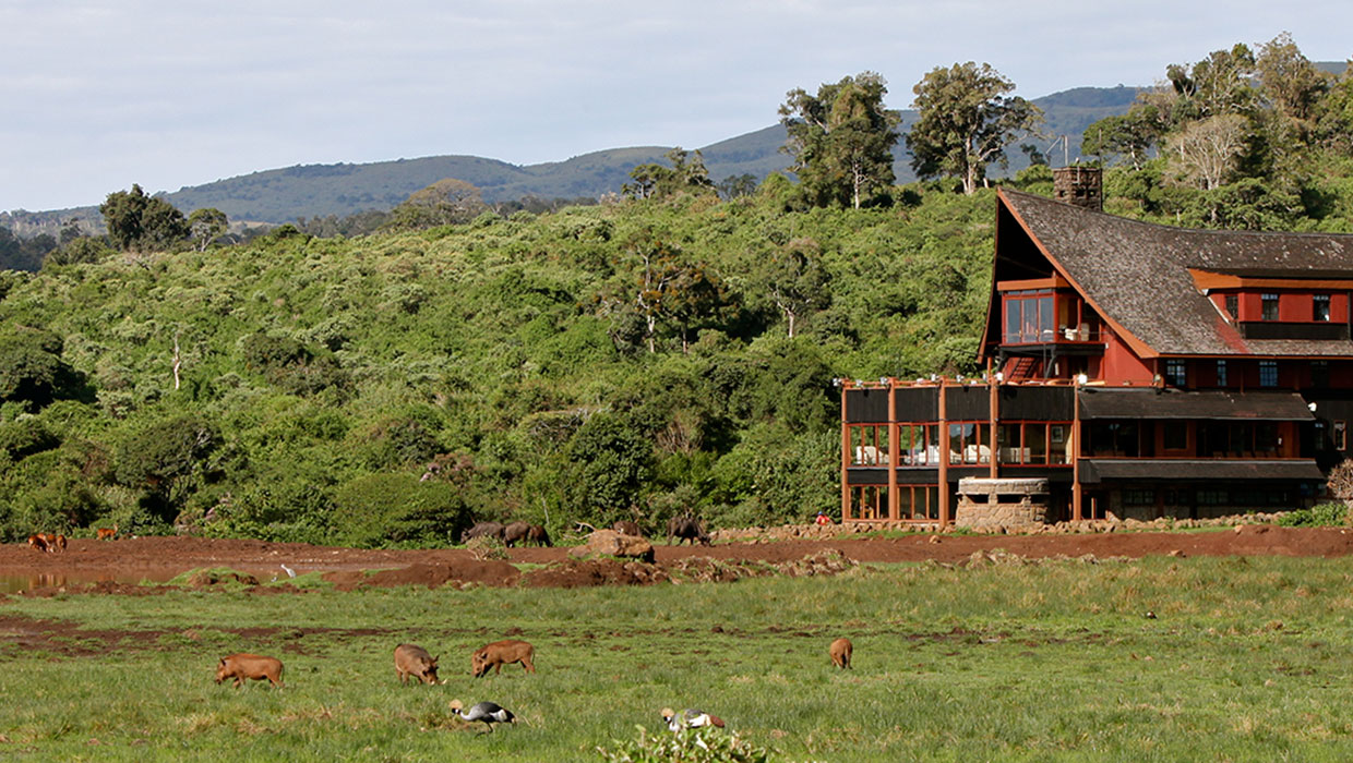 The Ark Lodge Aberdare Kenya