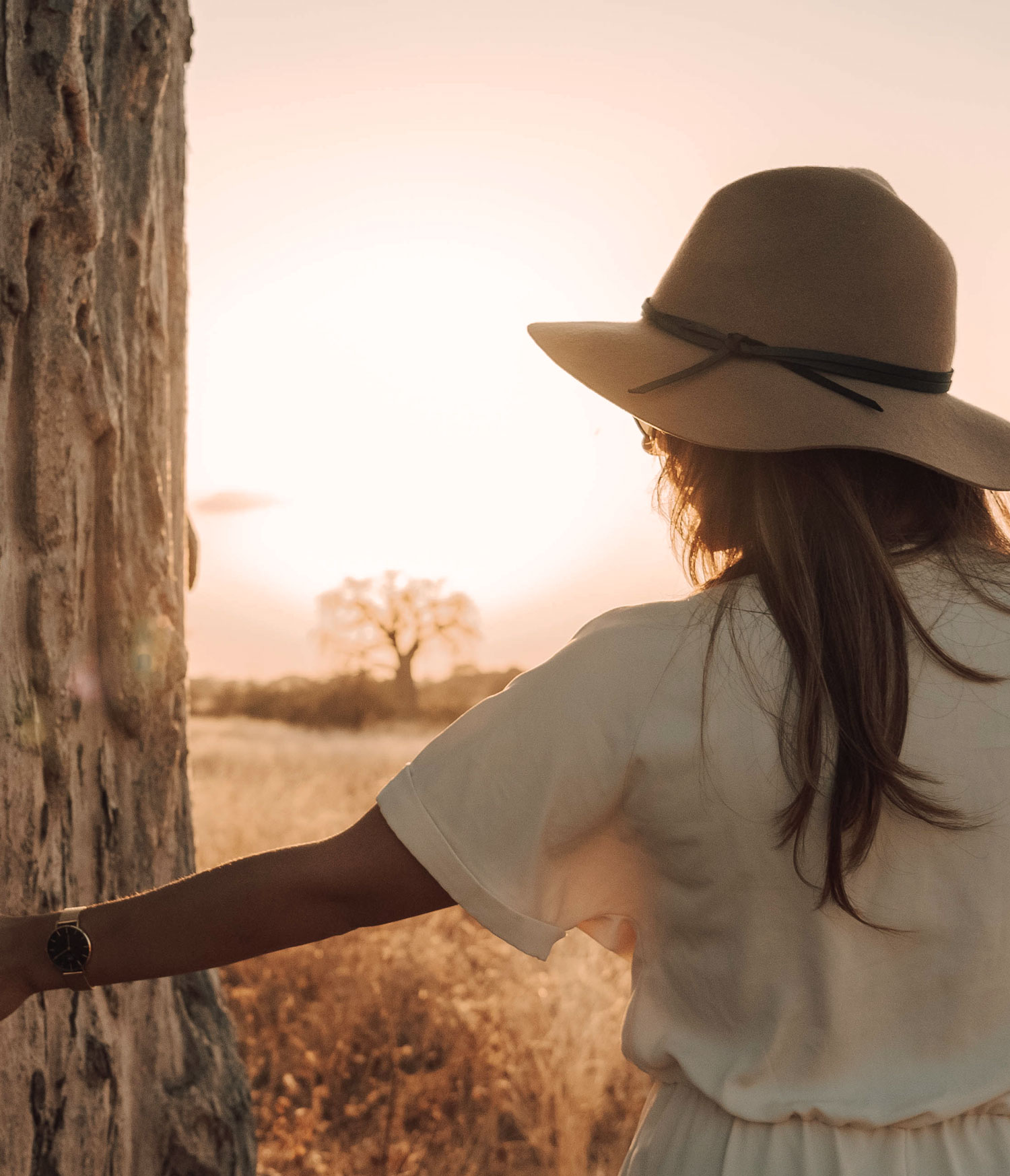 Illustrative luxury safari accommodation