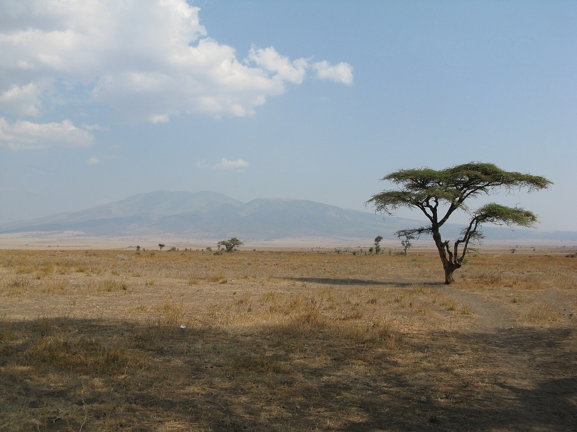 Serengeti National Park