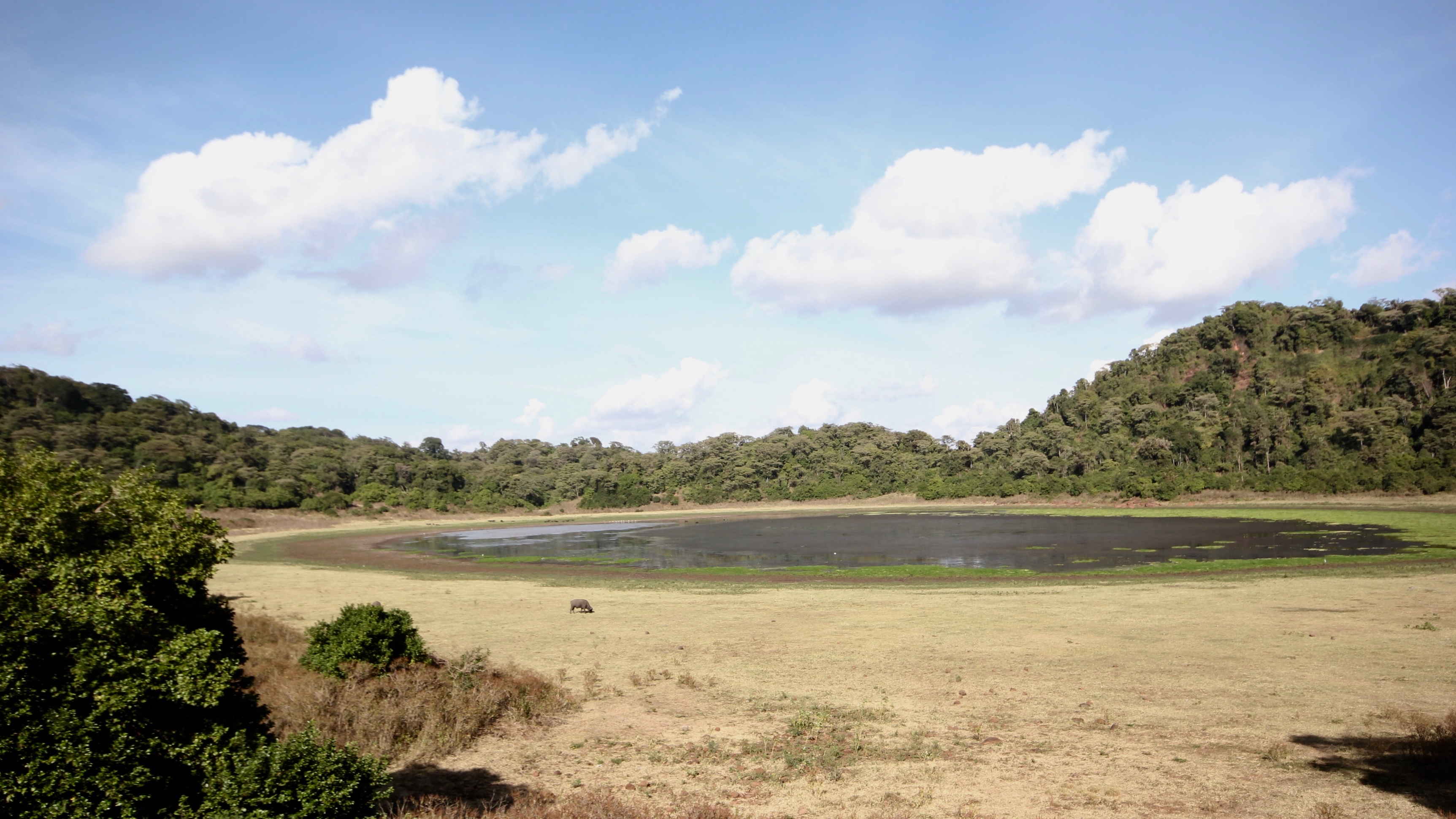 Marsabit National Park