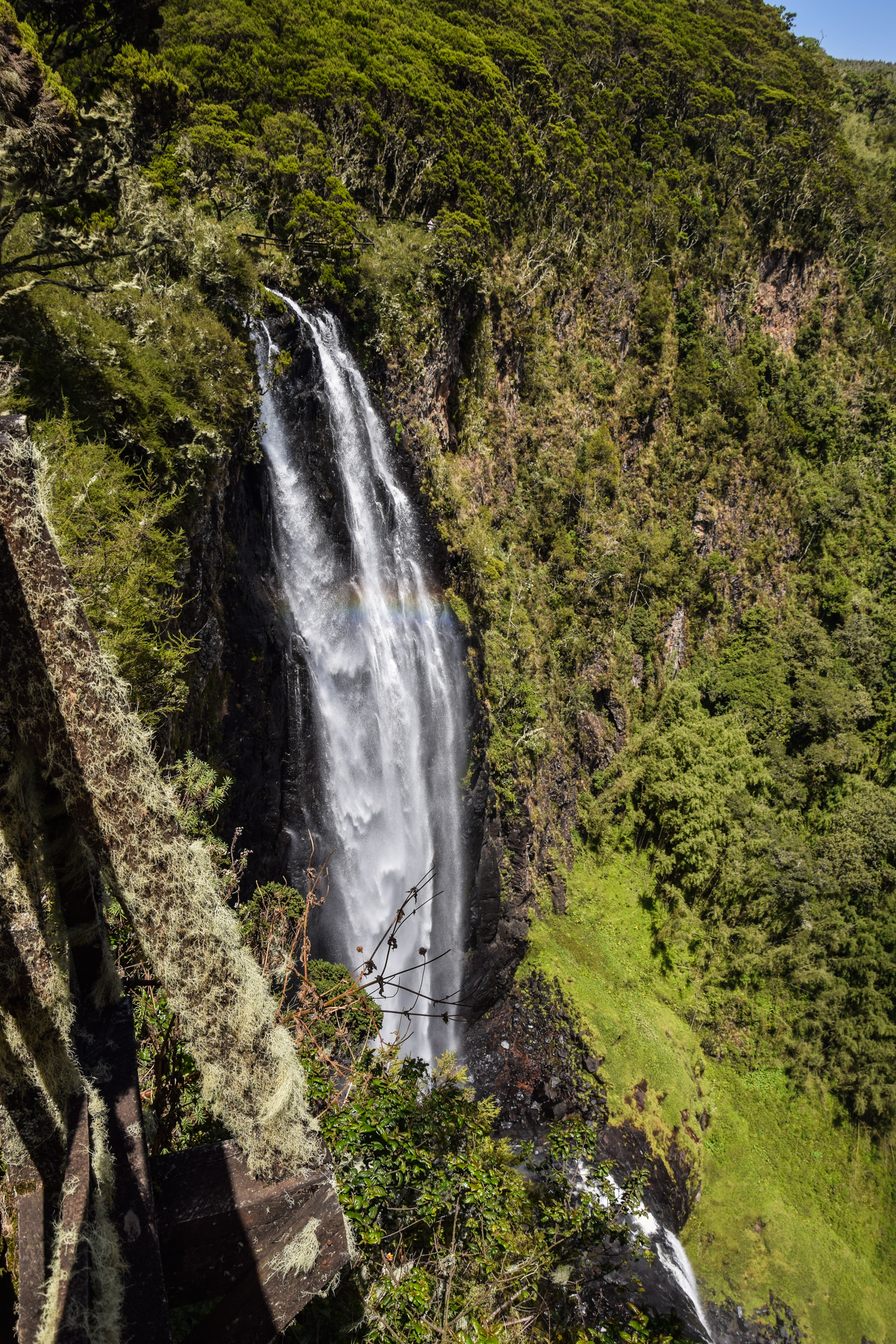 Aberdare National Park