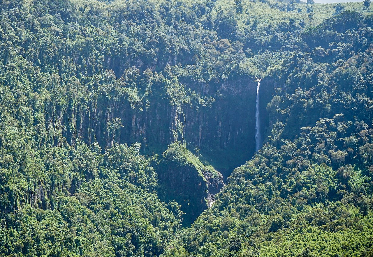 Aberdare National Park
