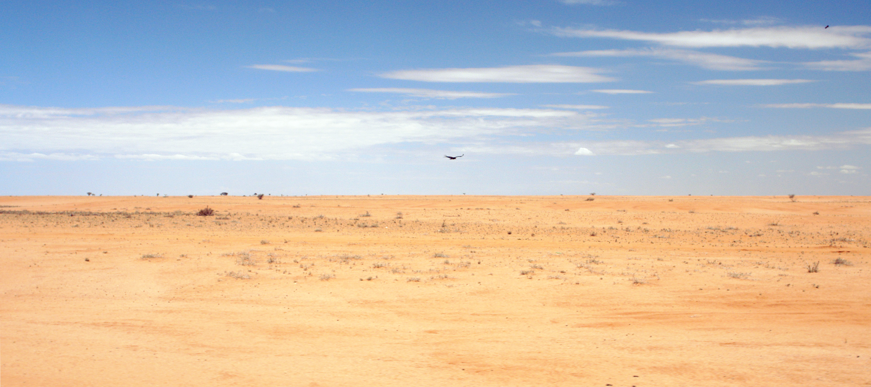 Calbit Desert
