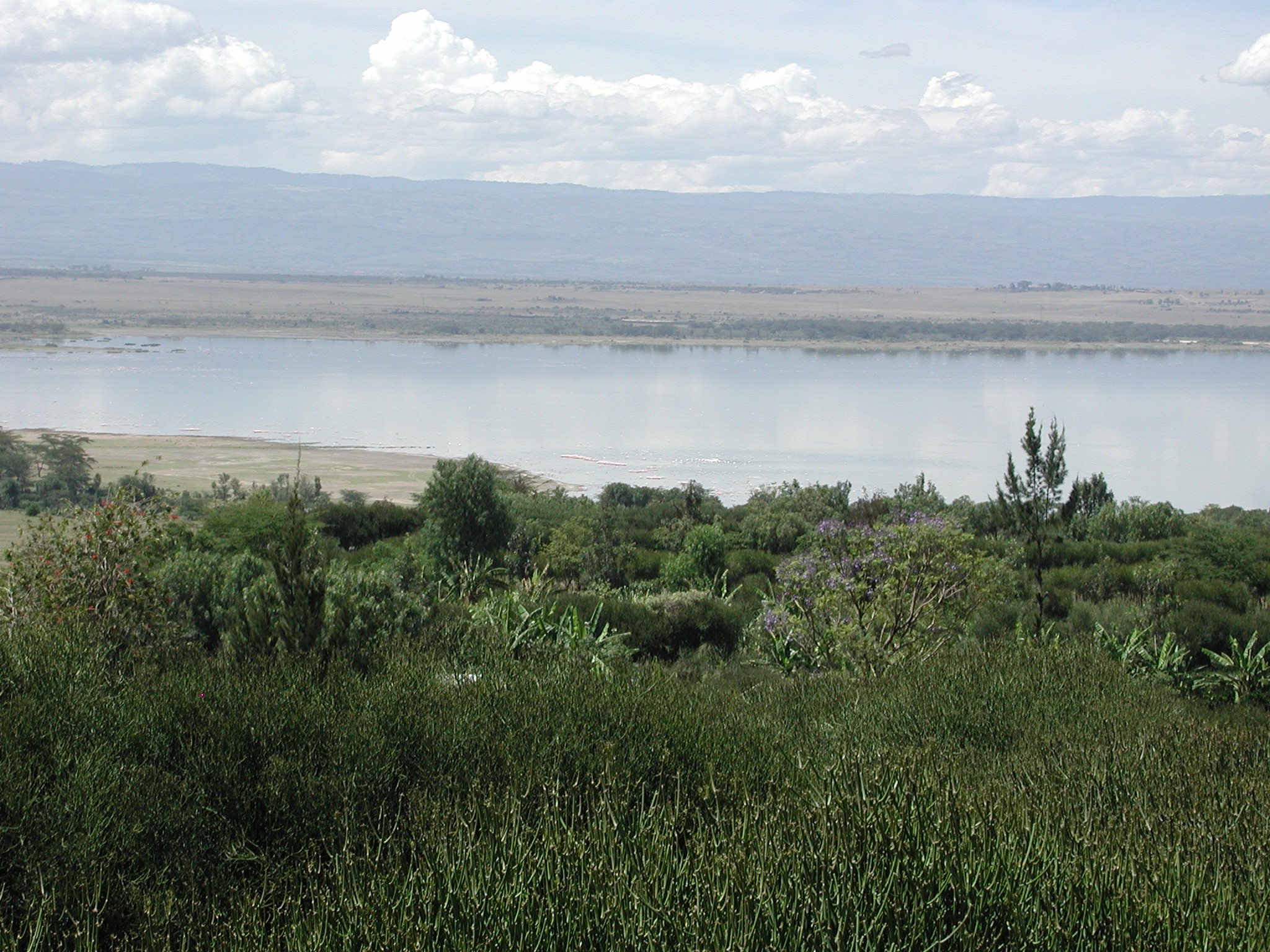 Lake Elmenteita