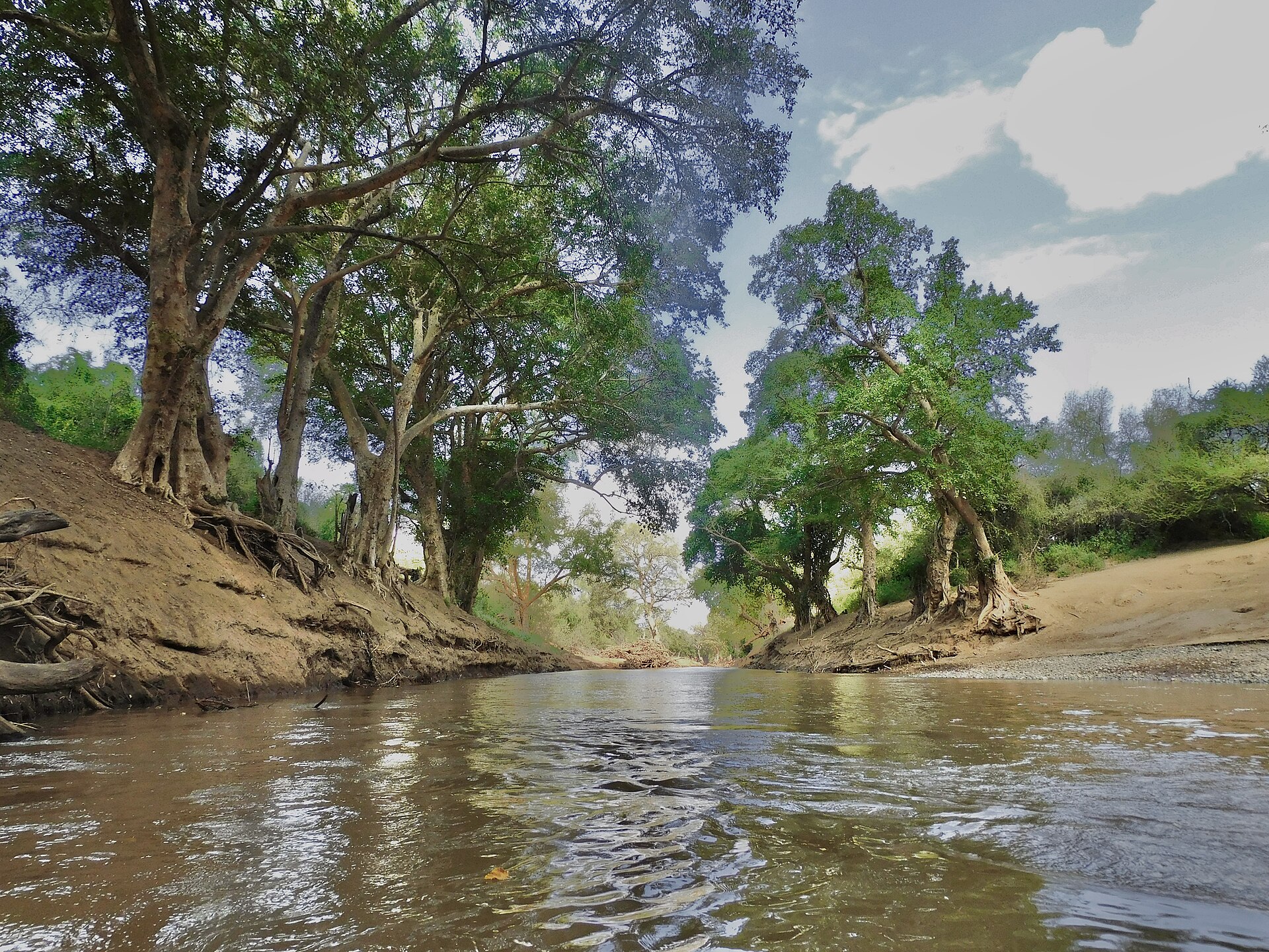 Ewaso Ng'iro River