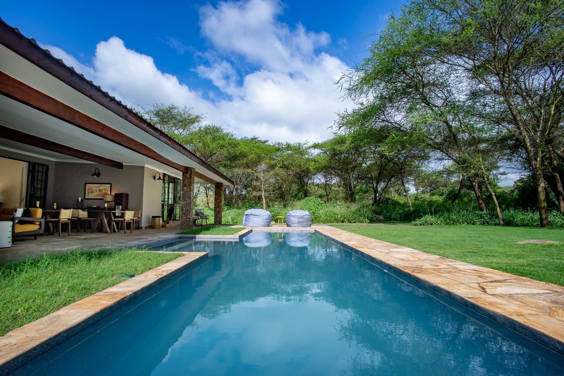Hamerkop House by Lemala