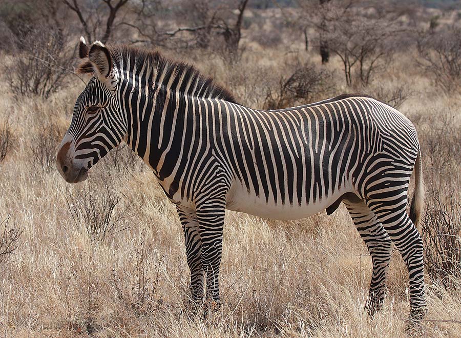 Buffulo Spring National Park