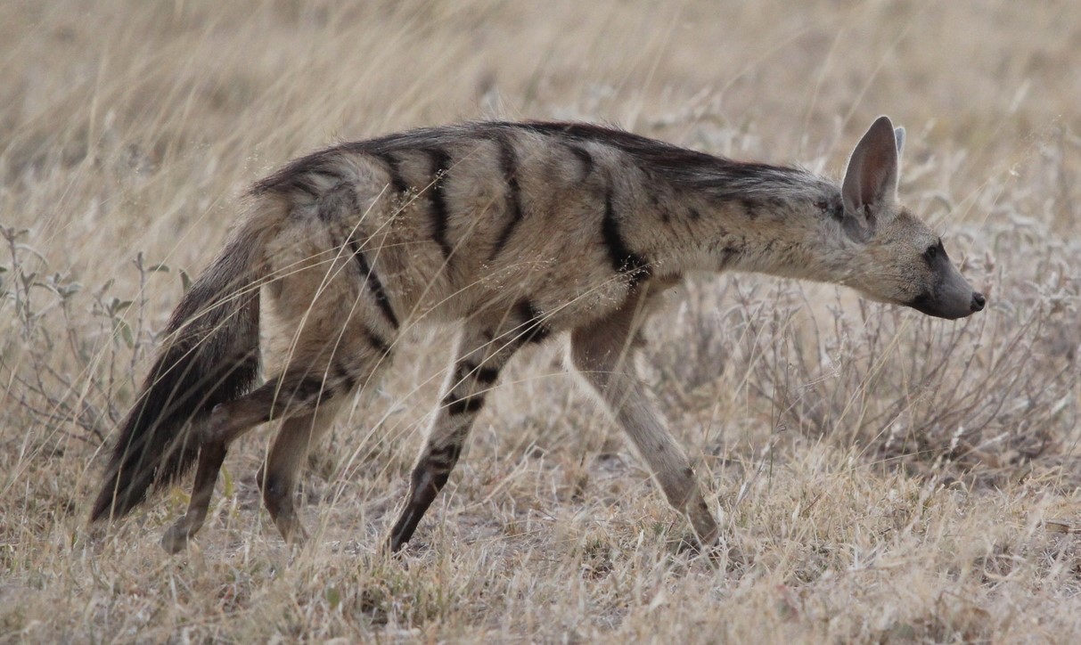 Buffulo Spring National Park