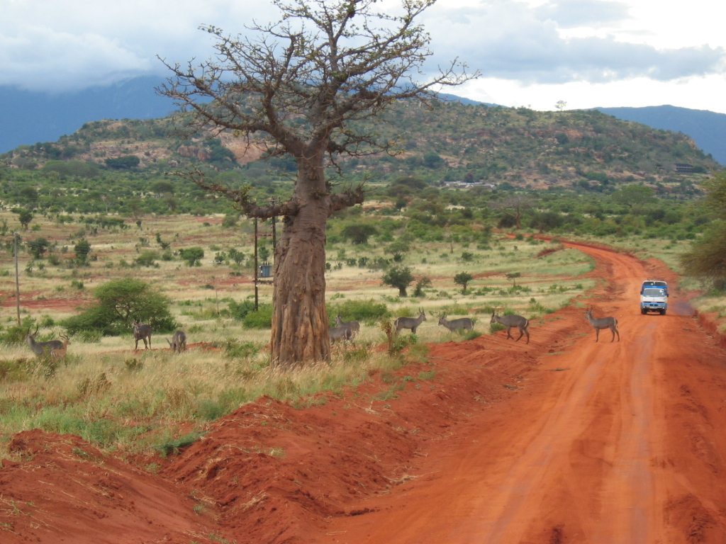 Tsavo National Park