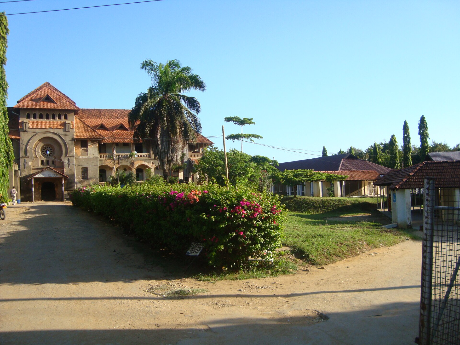Tanga