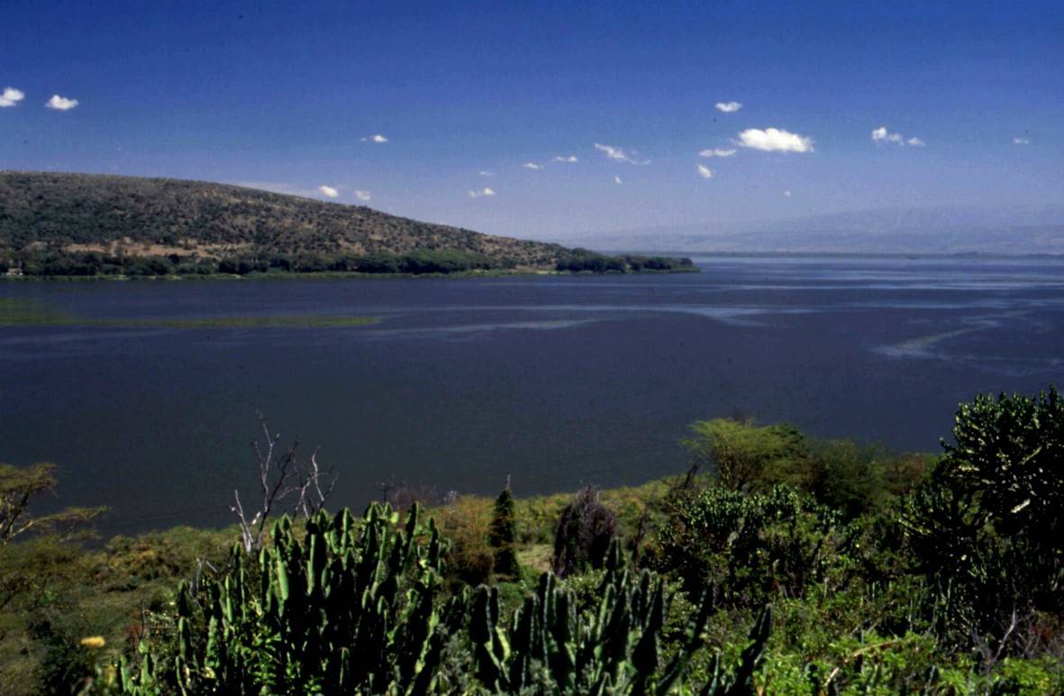 lake Naivasha