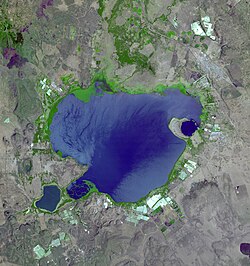 lake Naivasha