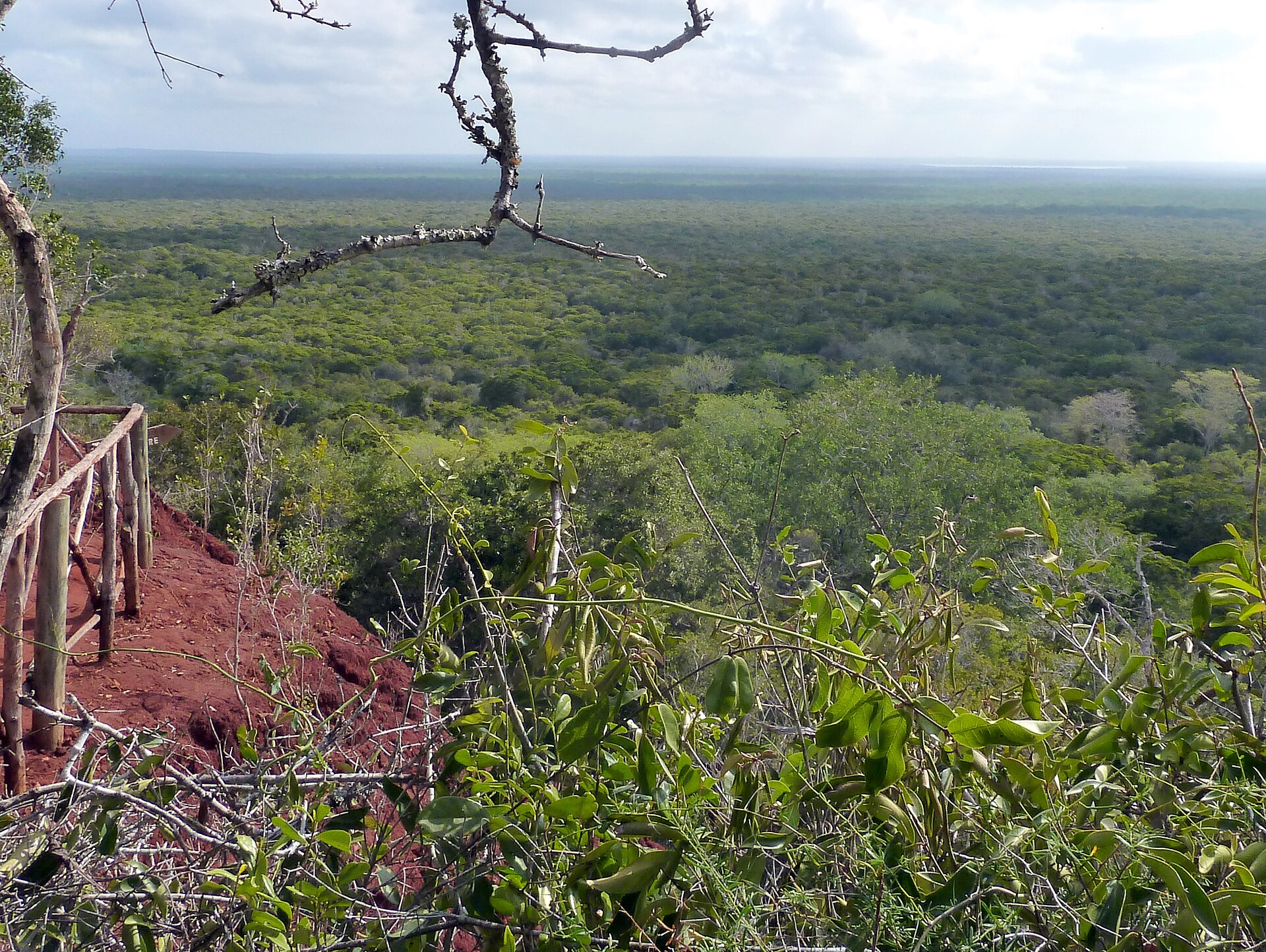 Arabuko National Park