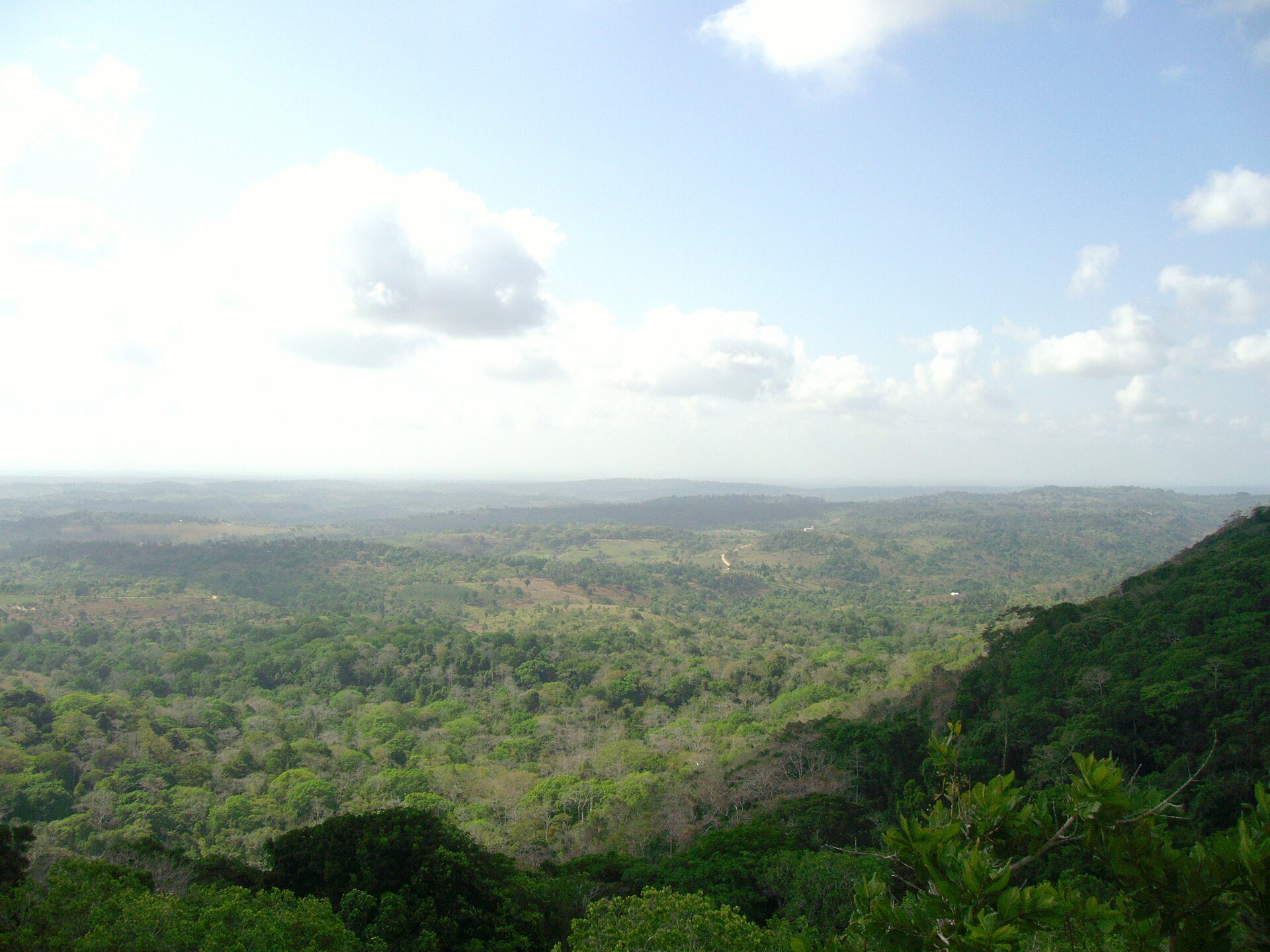Shimba Hills National Reserve