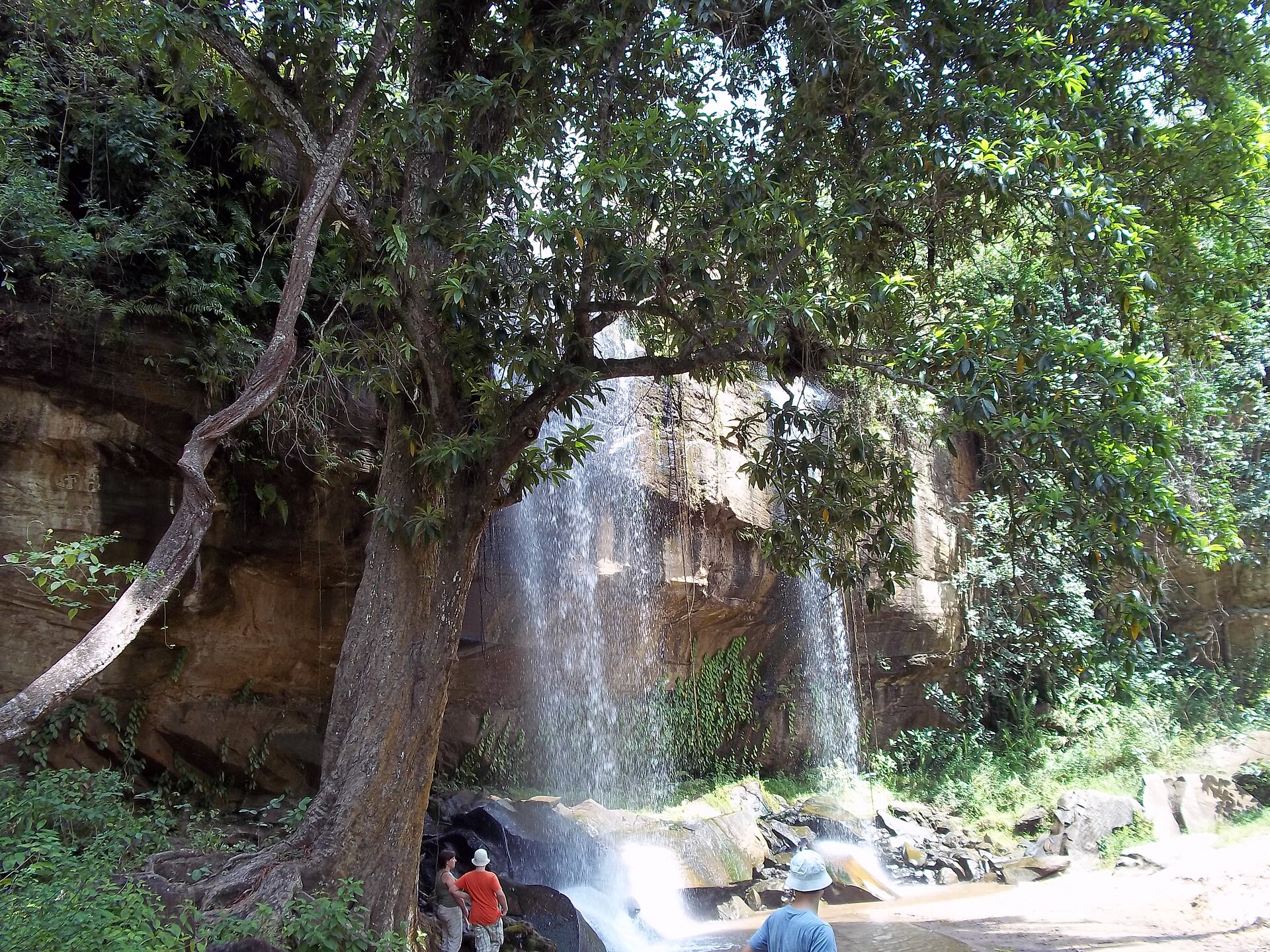 Shimba Hills National Reserve