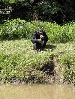 Ol pejeta Conservancy