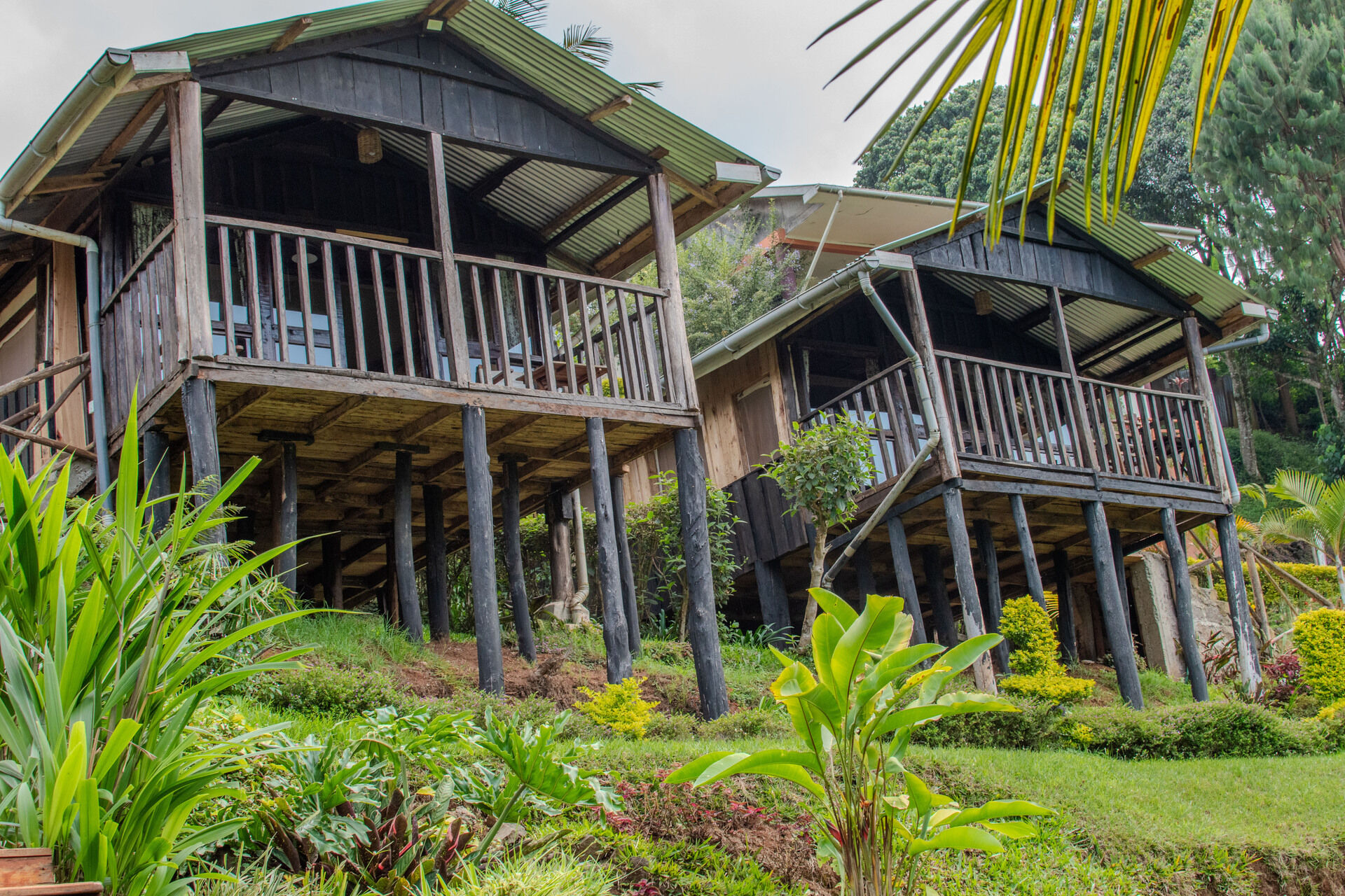 Aberdare Cottages & Fishing Lodge