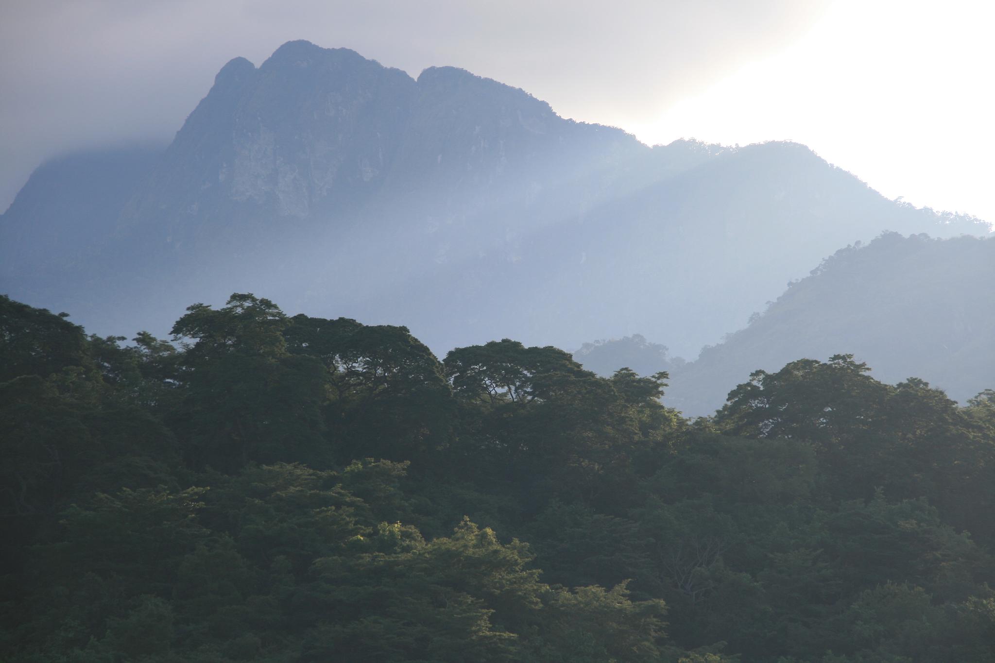 Udzungwa Mountain National Park