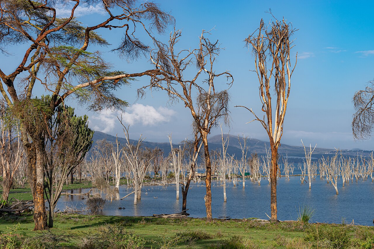 Lake Nakuru National Park