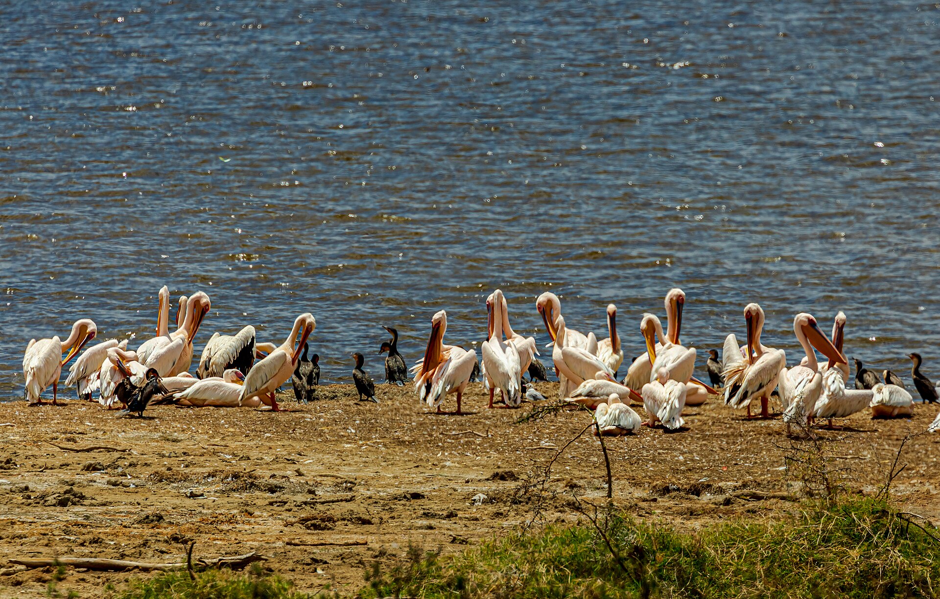 Lake Nakuru National Park